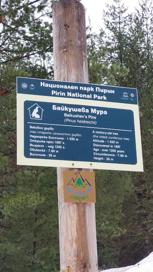 500м. от лифта Сладък дом в Белведере СПА комплекс Бансько Екстер'єр фото